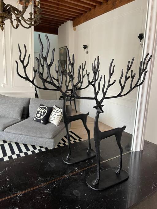 Le Grand Cerf By La A Cote Appartement Metz